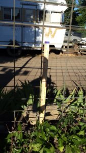 20170623_183716.jpg 20170623_183716.jpg