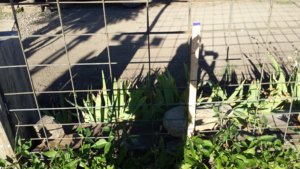 20170623_183724.jpg 20170623_183724.jpg