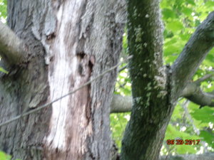 DSC02764.JPG