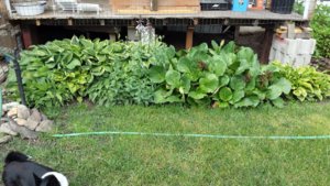 20170618_102207.jpg 20170618_102207.jpg