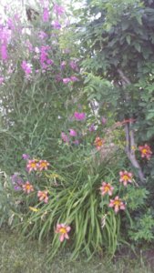 20170702_191304.jpg 20170702_191304.jpg