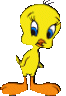tweetyshrug_b.gif tweetyshrug_b.gif