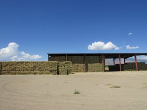 IMG_2534.JPG