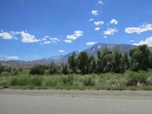 IMG_2593.JPG