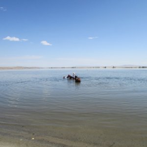 IMG_2541.JPG