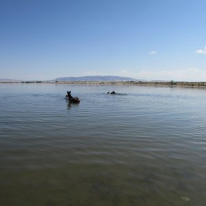 IMG_2547.JPG