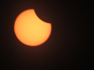 IMG_5662.JPG