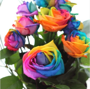 crazy roses.png crazy roses.png