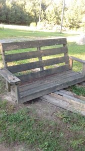 rescued.jpg rescued.jpg