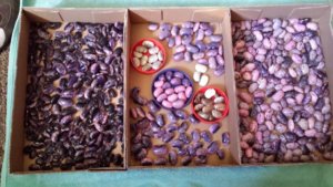 20171011_111051.jpg 20171011_111051.jpg