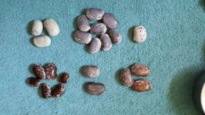 20171011_105430.jpg 20171011_105430.jpg