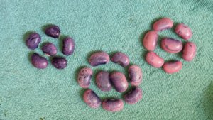 20171011_104319.jpg 20171011_104319.jpg