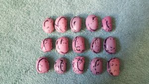 20171011_095426.jpg 20171011_095426.jpg