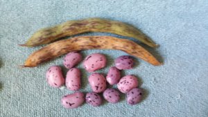 20171011_090517.jpg 20171011_090517.jpg