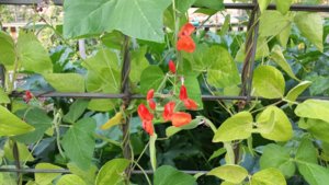 20170829_095929.jpg 20170829_095929.jpg