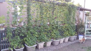 20170819_184217.jpg 20170819_184217.jpg