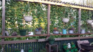 20170819_184244.jpg 20170819_184244.jpg