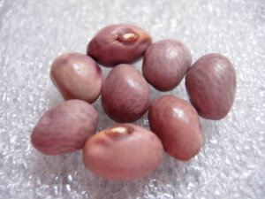 DSCN4904.JPG DSCN4904.JPG