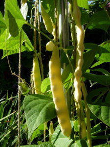 DSCN5579.JPG DSCN5579.JPG