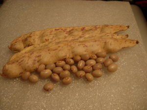 DSCN5704.JPG DSCN5704.JPG