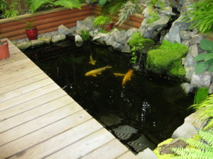DSCN0200.JPG