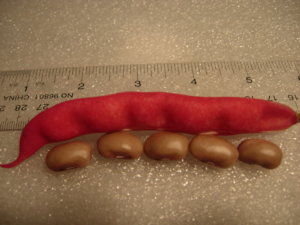 DSCN5692.JPG DSCN5692.JPG