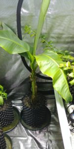 20171120_213911.jpg 20171120_213911.jpg