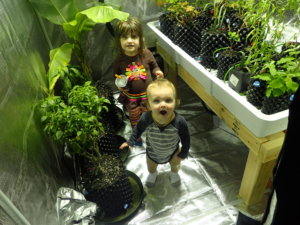 OI000115.jpg OI000115.jpg