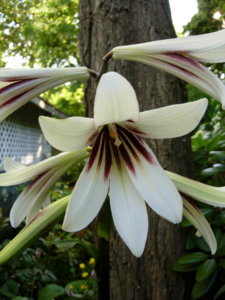 DSCN3439.JPG