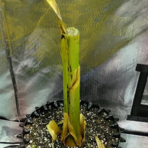 IMG_20171202_105035_700.jpg IMG_20171202_105035_700.jpg