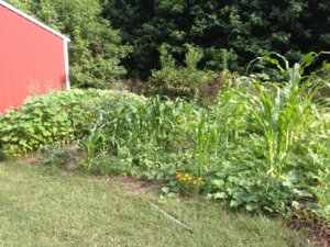 IMG_4585.JPG IMG_4585.JPG
