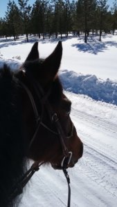 20180303_143459.jpg