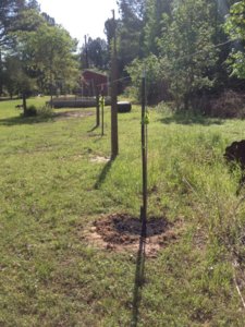 IMG_5723.JPG IMG_5723.JPG