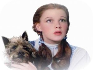19 Dorothy.jpg