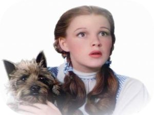 19 Dorothy.jpg 19 Dorothy.jpg