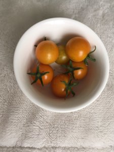 2F2373FC-6F2F-4CE8-AE95-D0E692F20676.jpeg 2F2373FC-6F2F-4CE8-AE95-D0E692F20676.jpeg