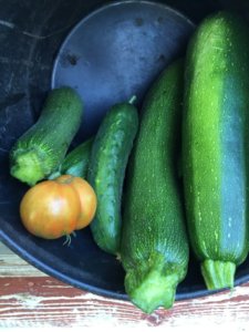 C455143B-4242-4B7A-8DB1-5EC110E6B5B8.jpeg C455143B-4242-4B7A-8DB1-5EC110E6B5B8.jpeg