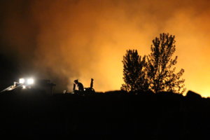 IMG_2206.jpg IMG_2206.jpg