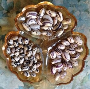 swirl beans 9:18.jpg