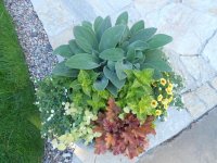 joss containers -picket garden 7.14 011.JPG