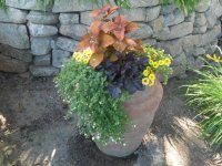 joss containers -picket garden 7.14 016.JPG