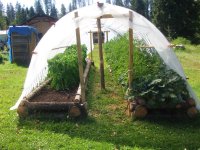 Hoop house 007.JPG