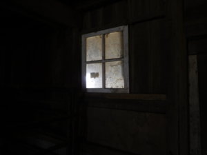 Frosted barn window, 01-31-19.JPG