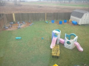 IMG_20190203_122225.jpg IMG_20190203_122225.jpg