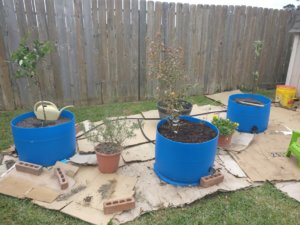 IMG_20190323_151457.jpg IMG_20190323_151457.jpg