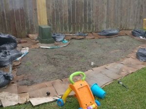 IMG_20190323_151418.jpg IMG_20190323_151418.jpg