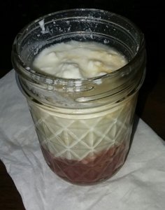 greekyogurt and berries.jpg greekyogurt and berries.jpg