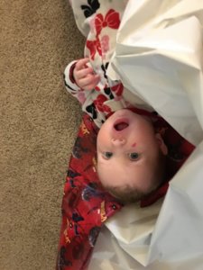 20190419_235533214_iOS.jpg 20190419_235533214_iOS.jpg