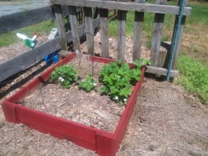 lf 4.27.19.jpg lf 4.27.19.jpg