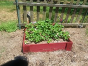 rt 4.27.19.jpg rt 4.27.19.jpg